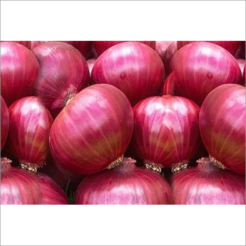 Fresh Onion